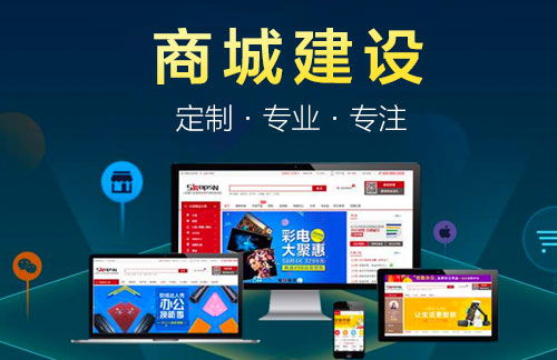 專業(yè)商城建設